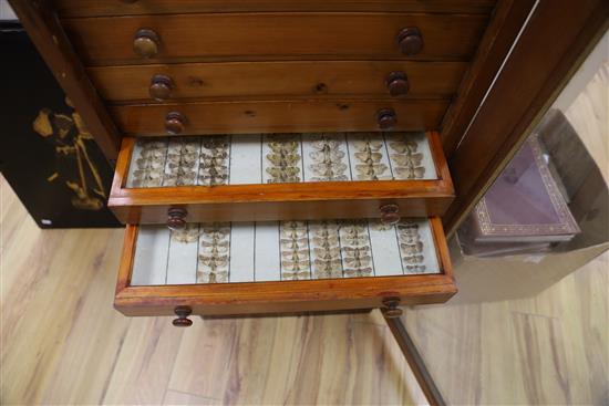 A Victorian mahogany and deal collector cabinet of moth specimens, by J.T Crockett & Son, W.52cm D.47cm H.135cm